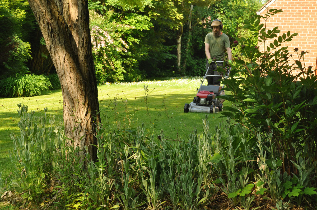 Entretien de jardin